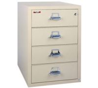 2-Drawer FireKing Fireproof Lateral Files