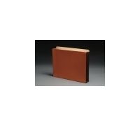 Letter Size  Full Height Tyvek Gussets  Top Tab Expansion File Pockets