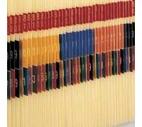 00  01  02  03  04 - Yellow  500 Pk  DSS Double Digit Series 