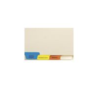 Stock Chart Divider Sets  Medical  End Tabs  1 4th Cut  100 Sets of 4 Tabs 