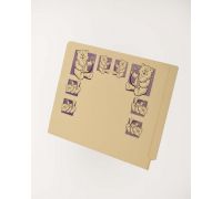 11 pt Manila Folders  Full Cut 2-Ply End Tab  Letter Size  Fastener Pos  1    3  Printed with Bears  Box of 50 
